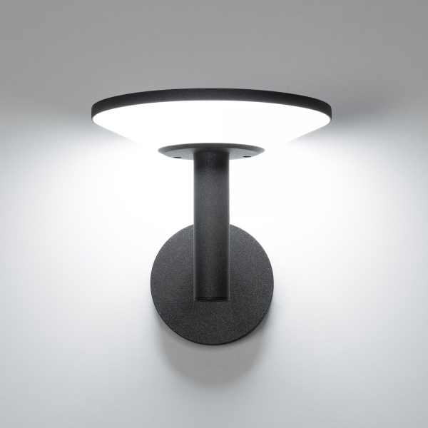 Citilux Dorn CLU05W LED Уличный настенный светильник Графит, изображение 8