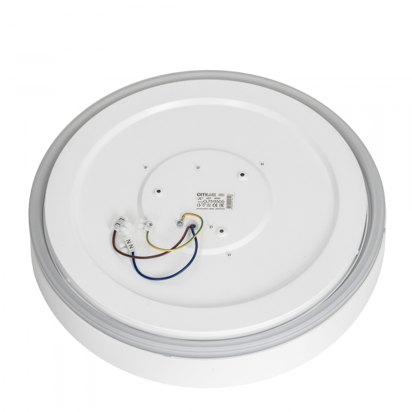 Citilux BOSS CL751350G LED RGB Светильник с пультом Белый, изображение 9