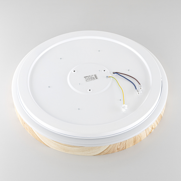 Citilux ENZO CL753452G LED RGB Светильник с пультом Клён, изображение 8
