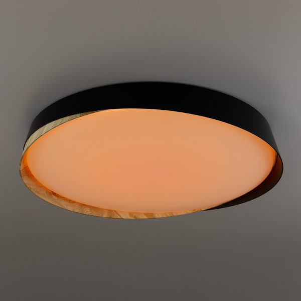 Citilux BONNY CL754451G LED RGB Светильник с пультом Чёрный + Клён, изображение 9