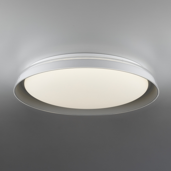 Citilux MEGA CL752451G LED RGB Светильник с пультом Белый+Серый, изображение 2