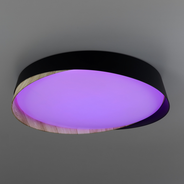 Citilux BONNY CL754351G LED RGB Светильник с пультом Черный+Клён, изображение 10