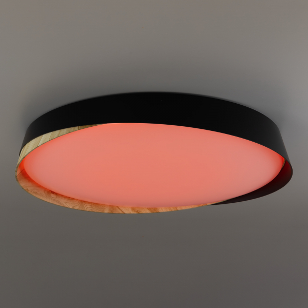 Citilux BONNY CL754451G LED RGB Светильник с пультом Чёрный + Клён, изображение 11