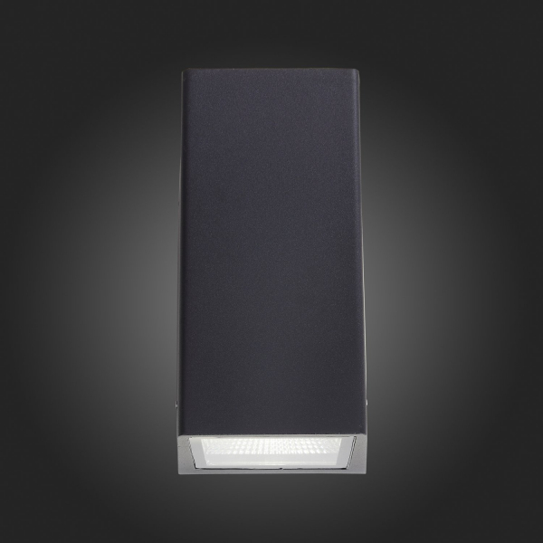 SL088.421.02 Светильник уличный настенный ST-Luce Черный кварцевый LED 2*5W 4000K DEALE, изображение 13