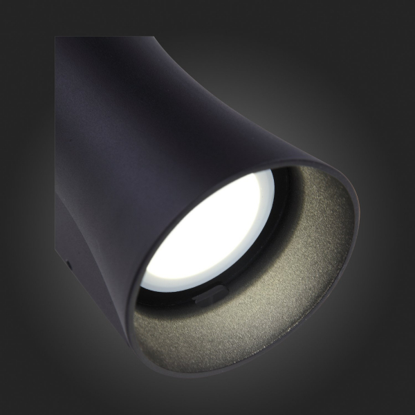 SL088.401.02 Светильник уличный настенный ST-Luce Черный кварцевый LED 2*5W 4000K DEALE, изображение 17