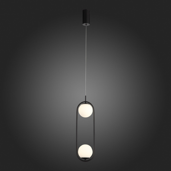 SL395.403.02 Подвес ST-Luce Черный/Белый LED 2*8W 4000K DONOLO, изображение 5