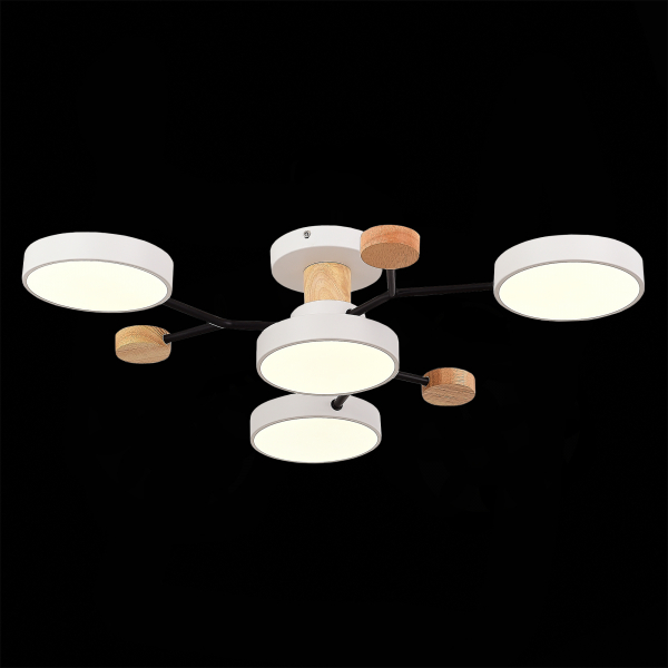 SLE6006-502-04 Светильник потолочный Белый/Белый LED 4*12W 3000K/4500K/6000K FAEMA, изображение 6