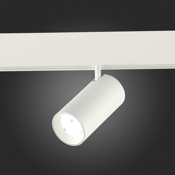 ST375.506.12 Магнитный трековый светильник SMART Белый LED 1*12W 2700K-6500K 1 080Lm Ra90 36° IP20 L115xW55xH95 48V SKYLINE 48, изображение 5