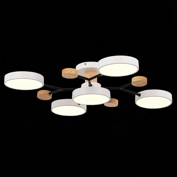 SLE6006-502-05 Светильник потолочный Белый/Белый LED 5*12W 3000K/4500K/6000K FAEMA, изображение 6
