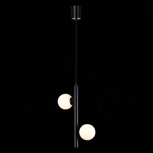 SL1185.403.02 Подвес ST-Luce Черный/Белый G9 2*5W ASOLO, изображение 4