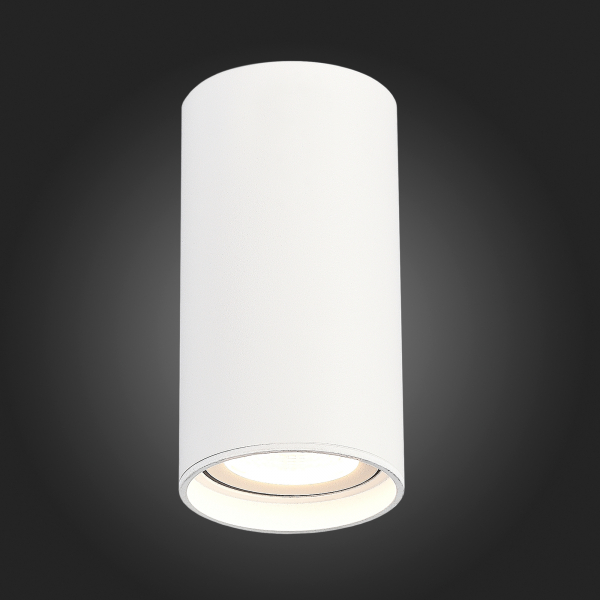 ST157.542.15 Светильник потолочный Белый LED 1*15W 4000K 1 200Lm Ra&gt;90 60° IP44 D75xH140 220-265V Накладные светильники, изображение 4