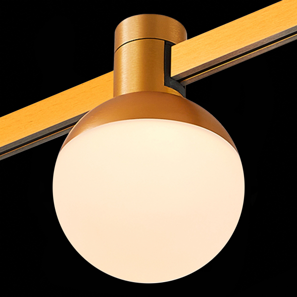 ST815.206.05 Магнитный трековый светильник FARM Золотистый LED 1*5W 3000K 89Lm Ra90 120 IP20 D75xH109 24V FARM, изображение 5