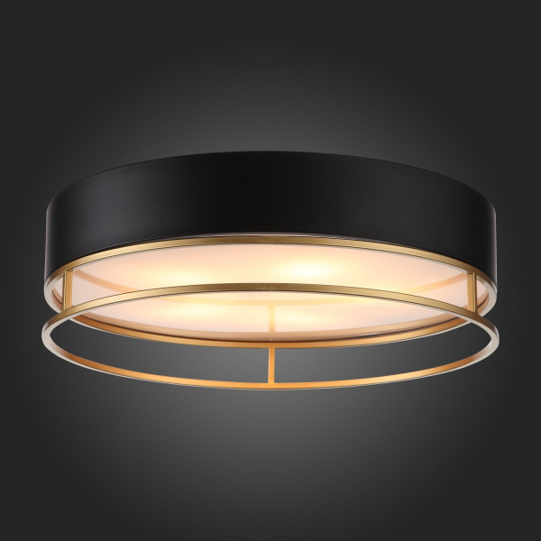 SL1127.432.05 Светильник потолочный ST-Luce Черный, Матовое золото/Белый E27 5*40W CHODO, изображение 10