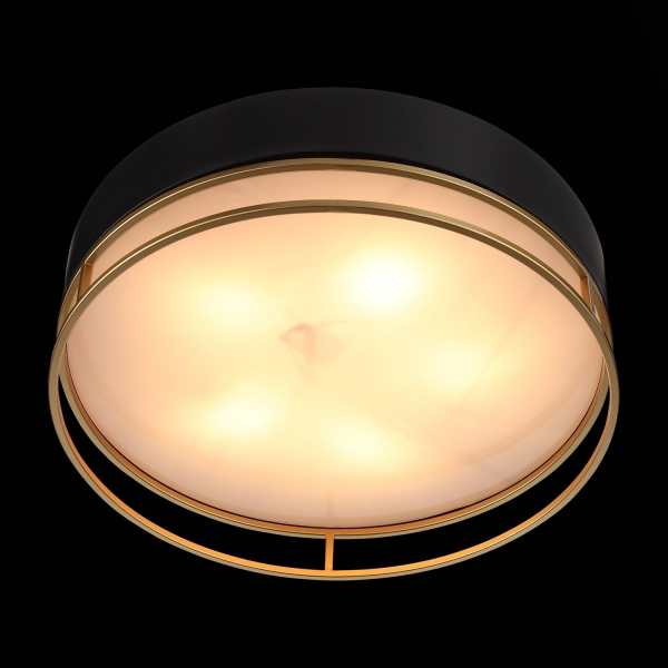 SL1127.432.05 Светильник потолочный ST-Luce Черный, Матовое золото/Белый E27 5*40W CHODO, изображение 7