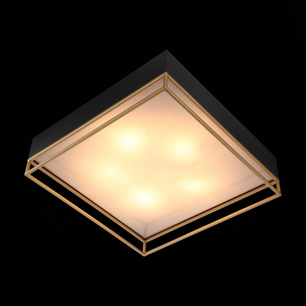 SL1127.422.05 Светильник потолочный ST-Luce Черный, Матовое золото/Белый E27 5*40W CHODO, изображение 7