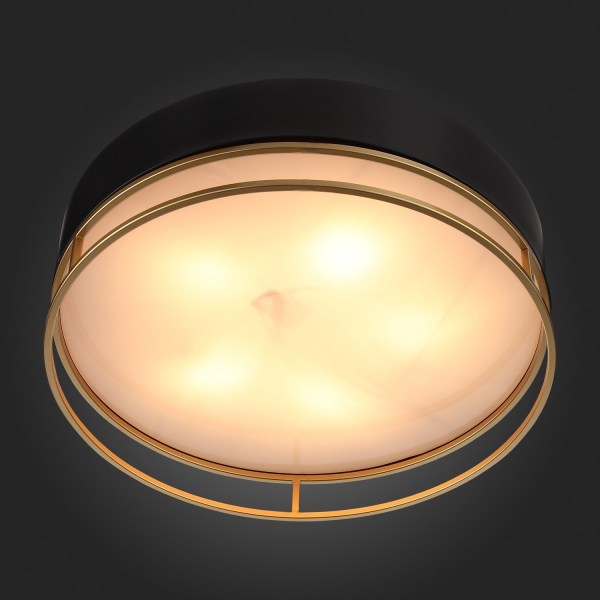 SL1127.432.05 Светильник потолочный ST-Luce Черный, Матовое золото/Белый E27 5*40W CHODO, изображение 11