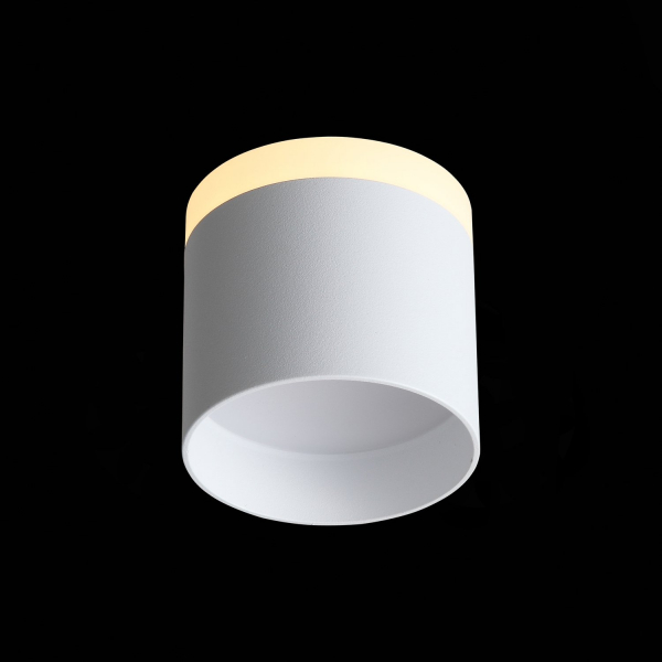 ST102.502.09 Светильник потолочный Белый LED 1*9W 3000K 702Lm Ra&gt;80 120° IP20 D79xH75 170-240V Накладные светильники, изображение 6