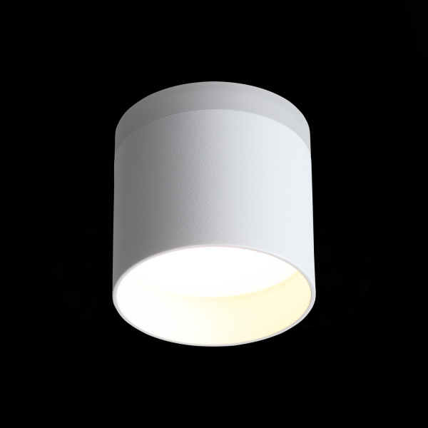 ST102.502.12 Светильник потолочный Белый LED 1*12W 3000K 936Lm Ra&gt;80 120° IP20 D100xH90 170-240V Накладные светильники, изображение 5