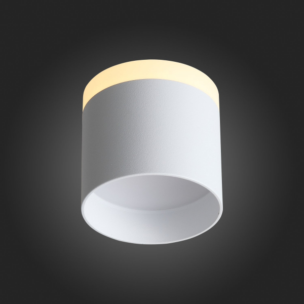 ST102.502.12 Светильник потолочный Белый LED 1*12W 3000K 936Lm Ra&gt;80 120° IP20 D100xH90 170-240V Накладные светильники, изображение 9