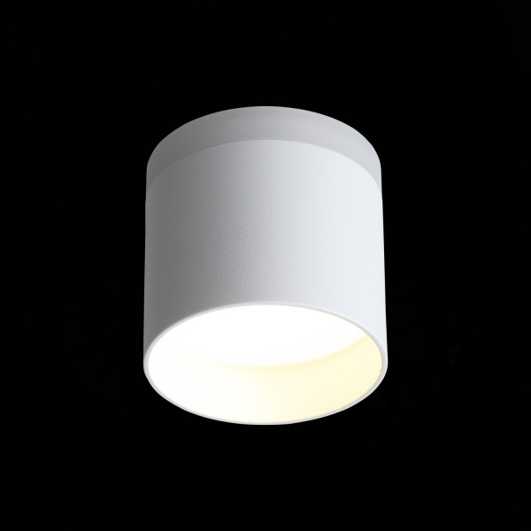 ST102.502.09 Светильник потолочный Белый LED 1*9W 3000K 702Lm Ra&gt;80 120° IP20 D79xH75 170-240V Накладные светильники, изображение 5