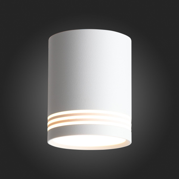 ST101.502.12 Светильник потолочный Белый LED 1*12W 3000K 936Lm Ra&gt;80 120° IP20 D79xH100 170-240V Накладные светильники, изображение 5