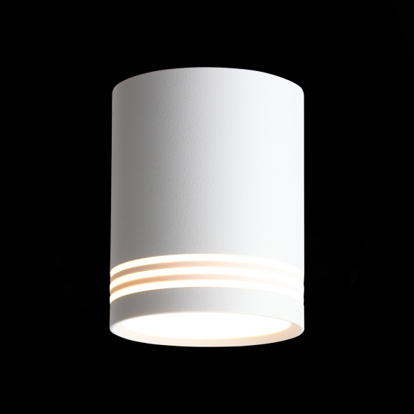 ST101.502.12 Светильник потолочный Белый LED 1*12W 3000K 936Lm Ra&gt;80 120° IP20 D79xH100 170-240V Накладные светильники, изображение 3