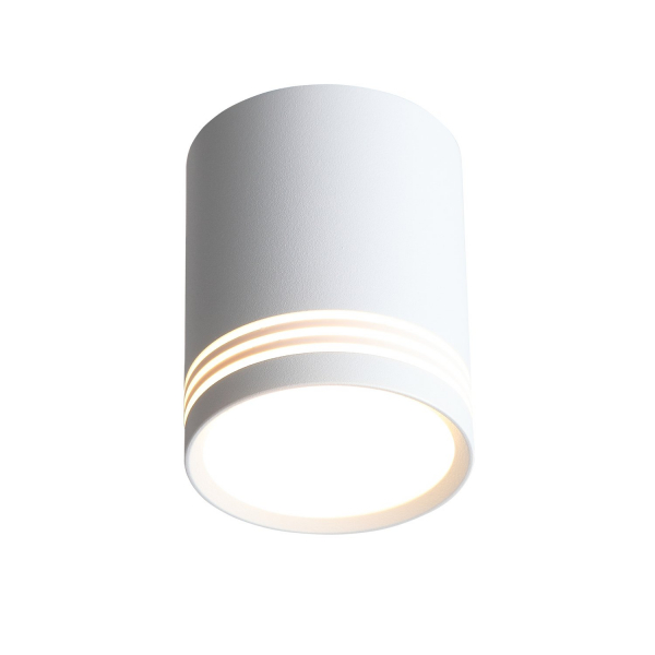ST101.502.12 Светильник потолочный Белый LED 1*12W 3000K 936Lm Ra&gt;80 120° IP20 D79xH100 170-240V Накладные светильники, изображение 2