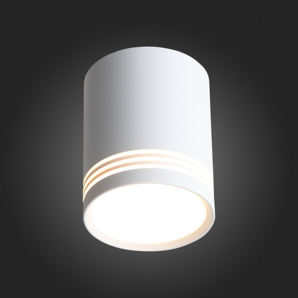 ST101.502.12 Светильник потолочный Белый LED 1*12W 3000K 936Lm Ra&gt;80 120° IP20 D79xH100 170-240V Накладные светильники, изображение 6