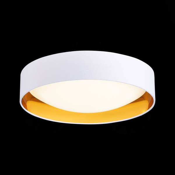 SLE201122-01 Светильник потолочный Белый, Золото/Белый LED 1*24W 4000K ORBIO, изображение 3