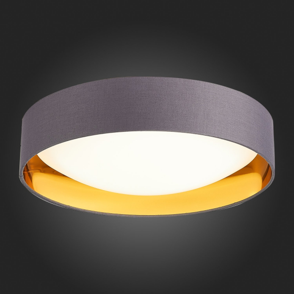 SLE201112-01 Светильник потолочный Серый, Золото/Белый LED 1*24W 4000K ORBIO, изображение 5