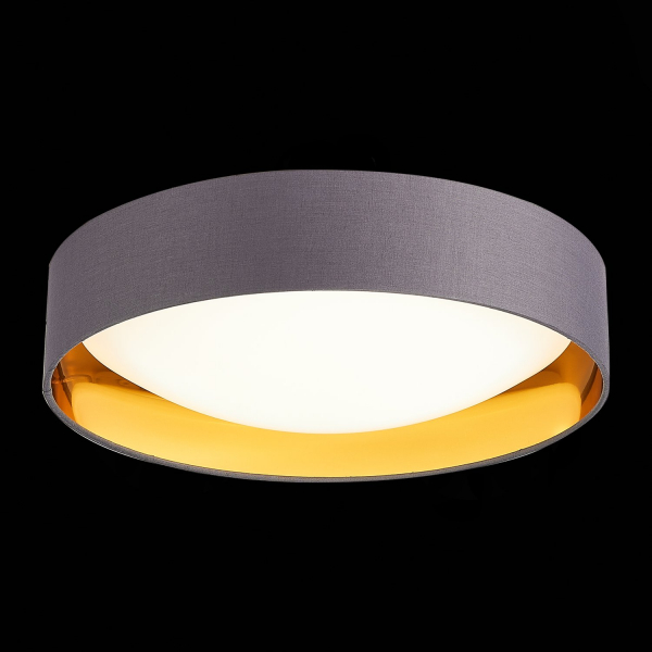 SLE201112-01 Светильник потолочный Серый, Золото/Белый LED 1*24W 4000K ORBIO, изображение 3