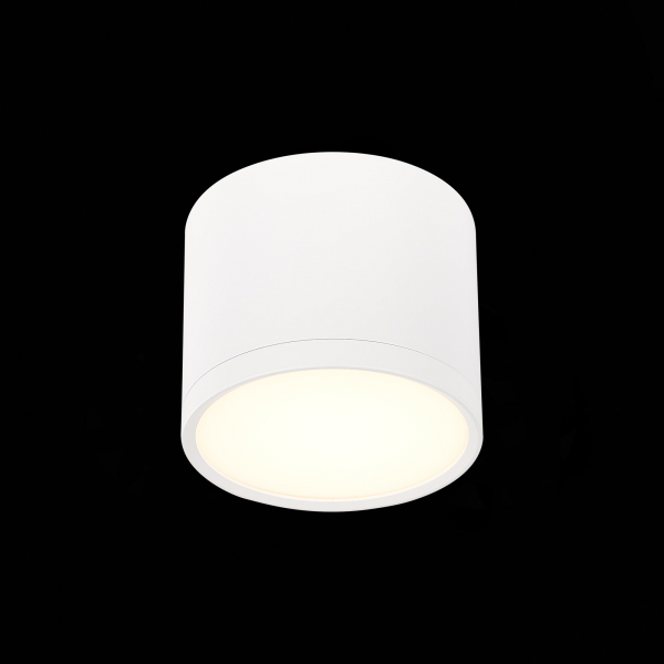 ST113.532.09 Светильник потолочный Белый LED 1*9W 3000K 702Lm Ra&gt;80 120° IP20 D88xH75 170-240V Накладные светильники, изображение 3