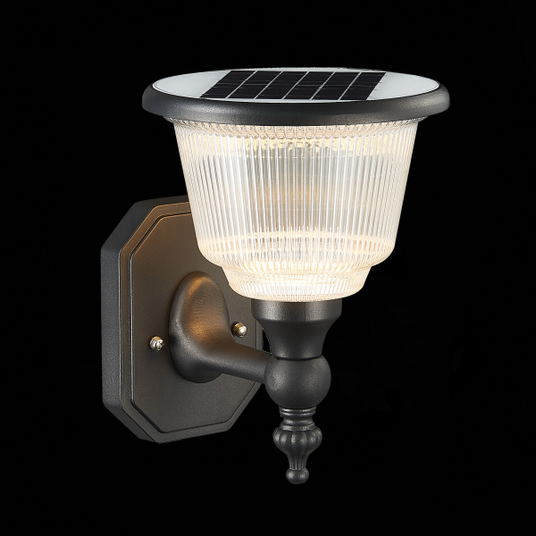 SL9502.401.01 Светильник уличный настенный ST-Luce Черный/Черный, Прозрачный LED 1*2W 3000-6000K SOLARIS, изображение 8