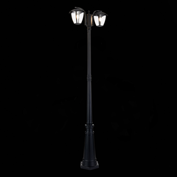 SL081.405.02 Светильник уличный наземный ST-Luce Черный/Черный, Прозрачный E27 2*40W SIVINO, изображение 6