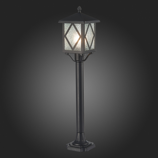 SL084.415.01 Светильник уличный наземный ST-Luce Черный/Черный, Прозрачный E27 1*60W LORNE, изображение 7