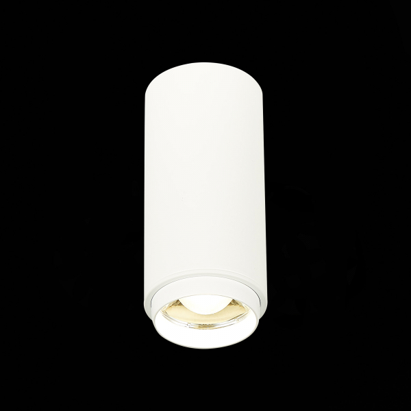 ST600.542.10 Светильник потолочный Zoom Белый LED 1*10W 4000K 1 000Lm Ra&gt;80 15-60° IP20 D59xH130 170-240VV Накладные светильники, изображение 3