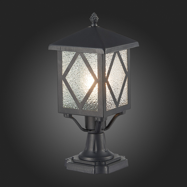 SL084.405.01 Светильник уличный наземный ST-Luce Черный/Черный, Прозрачный E27 1*60W LORNE, изображение 7