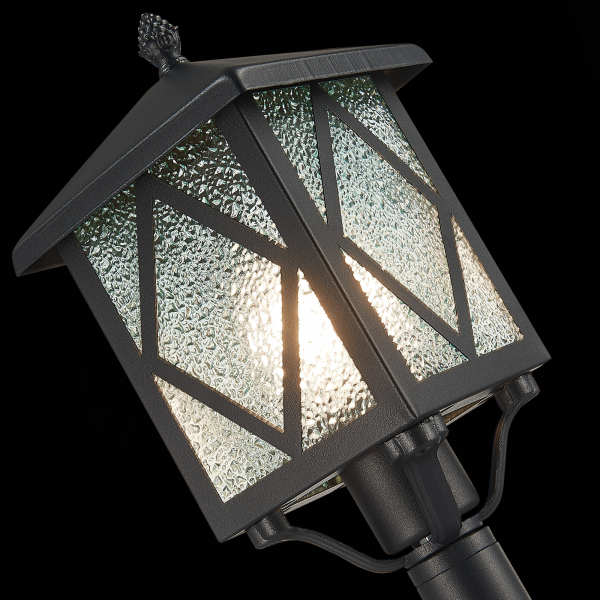 SL084.415.01 Светильник уличный наземный ST-Luce Черный/Черный, Прозрачный E27 1*60W LORNE, изображение 6
