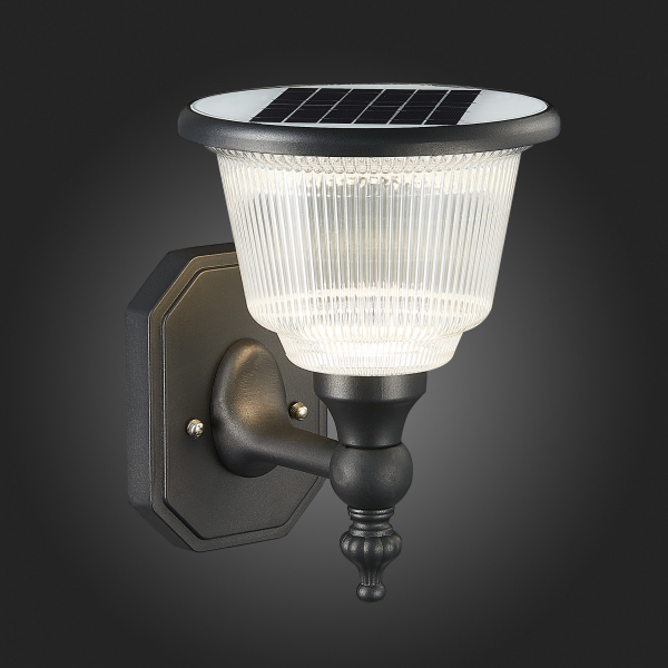 SL9502.401.01 Светильник уличный настенный ST-Luce Черный/Черный, Прозрачный LED 1*2W 3000-6000K SOLARIS, изображение 11