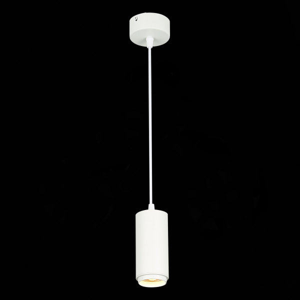 ST600.533.10 Светильник подвесной Zoom Белый LED 1*10W 3000K 1 000Lm Ra&gt;80 15-60° IP20 D59xH130 170-240VV Подвесные светильники, изображение 3