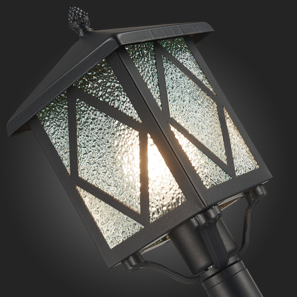 SL084.415.01 Светильник уличный наземный ST-Luce Черный/Черный, Прозрачный E27 1*60W LORNE, изображение 9