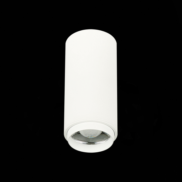 ST600.532.10 Светильник потолочный Zoom Белый LED 1*10W 3000K 1 000Lm Ra&gt;80 15-60° IP20 D59xH130 170-240VV Накладные светильники, изображение 4