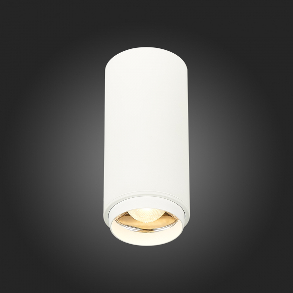 ST600.532.10 Светильник потолочный Zoom Белый LED 1*10W 3000K 1 000Lm Ra&gt;80 15-60° IP20 D59xH130 170-240VV Накладные светильники, изображение 5