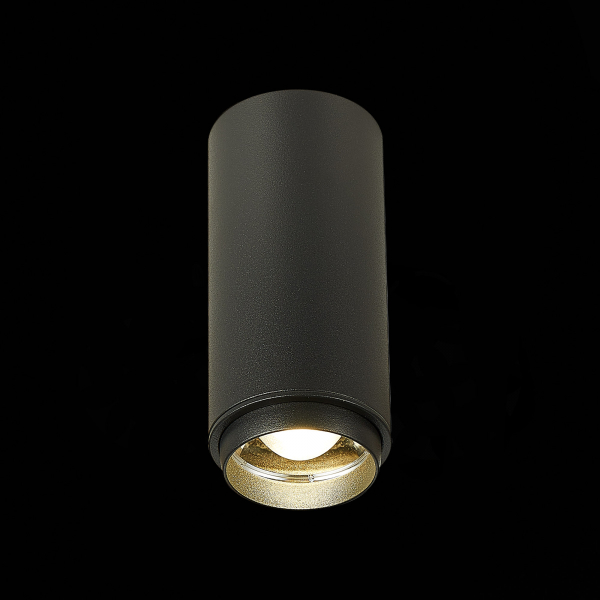 ST600.442.10 Светильник потолочный Zoom Черный LED 1*10W 4000K 1 000Lm Ra&gt;80 15-60° IP20 D59xH130 170-240VV Накладные светильники, изображение 3