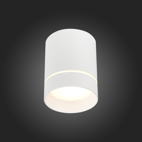 ST115.532.07 Светильник потолочный Белый LED 1*7W 3000K 490Lm Ra&gt;90 120° IP20 D79xH100 170-240V Накладные светильники, изображение 4