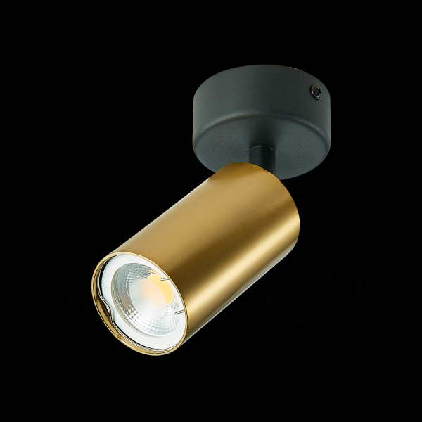 ST303.202.01 Потолочный светильник Золотистый GU10 1*50W  IP20 D70xH168 220V Без ламп Накладные светильники, изображение 4