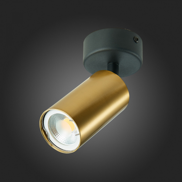 ST303.202.01 Потолочный светильник Золотистый GU10 1*50W  IP20 D70xH168 220V Без ламп Накладные светильники, изображение 6
