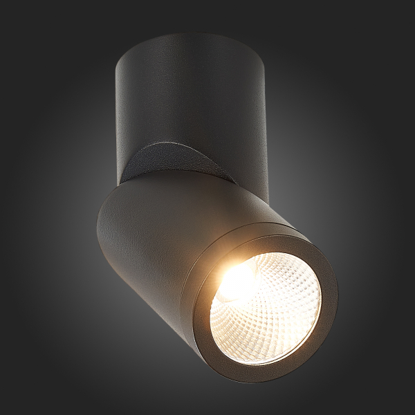 ST650.432.10 Светильник потолочный Черный LED 1*10W 3000K 800Lm Ra&gt;90 38° IP44 D62xH151 165-265V Накладные светильники, изображение 6