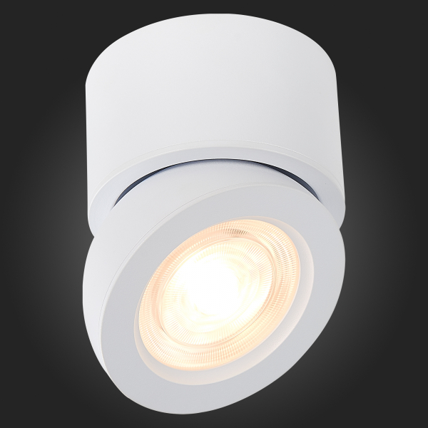 ST654.532.10 Светильник потолочный Белый LED 1*10W 3000K 850Lm Ra&gt;90 38° IP20 D95xH96 180-240V Накладные светильники, изображение 5