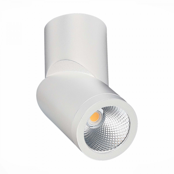 ST650.542.10 Светильник потолочный Белый LED 1*10W 4000K 800Lm Ra&gt;90 38° IP44 D62xH151 165-265V Накладные светильники, изображение 2